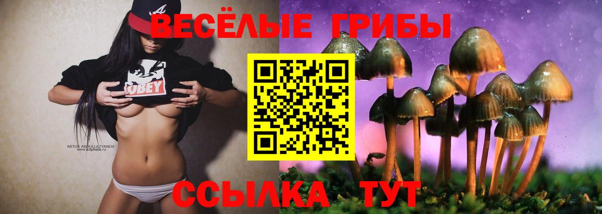 Псилоцибиновые грибы мухоморы Карталы